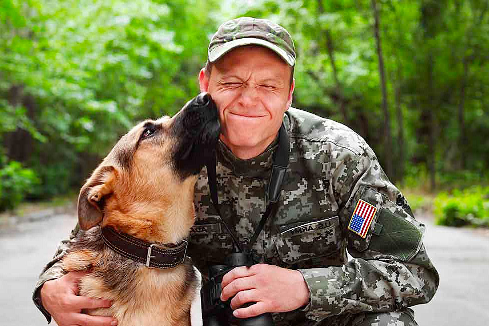 Army Dog Soldier 
