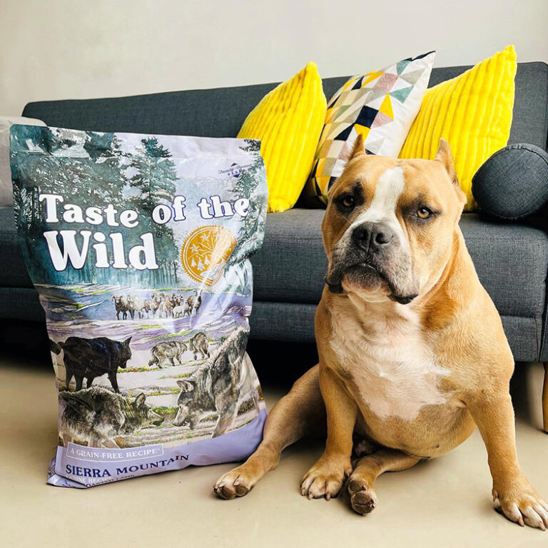 Best Taste of the Wild Coupon 20+ Off at Chewy • 2023