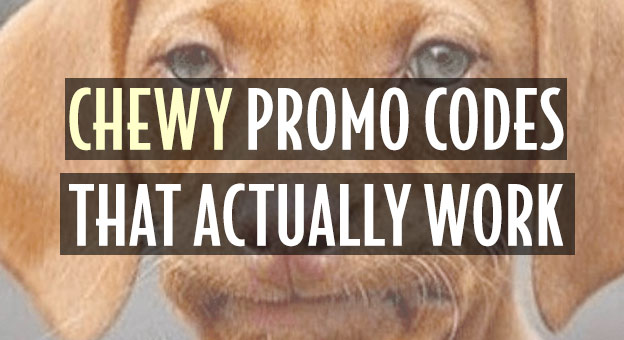 Chewy Promo Codes That Actually Work Up To 20 Off   Chewy Promo Code Actually Work 