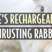 eves rechargeable thrusting rabbit