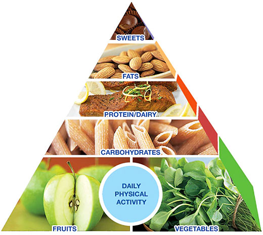 food pyramid