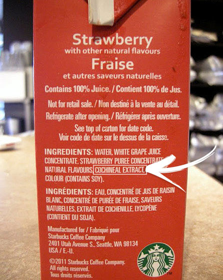 starbucks cochineal ingredient