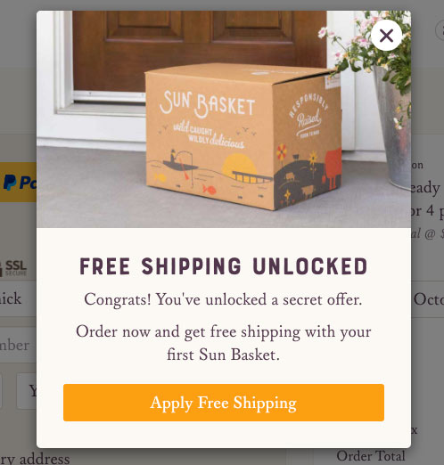 sun basket free shipping