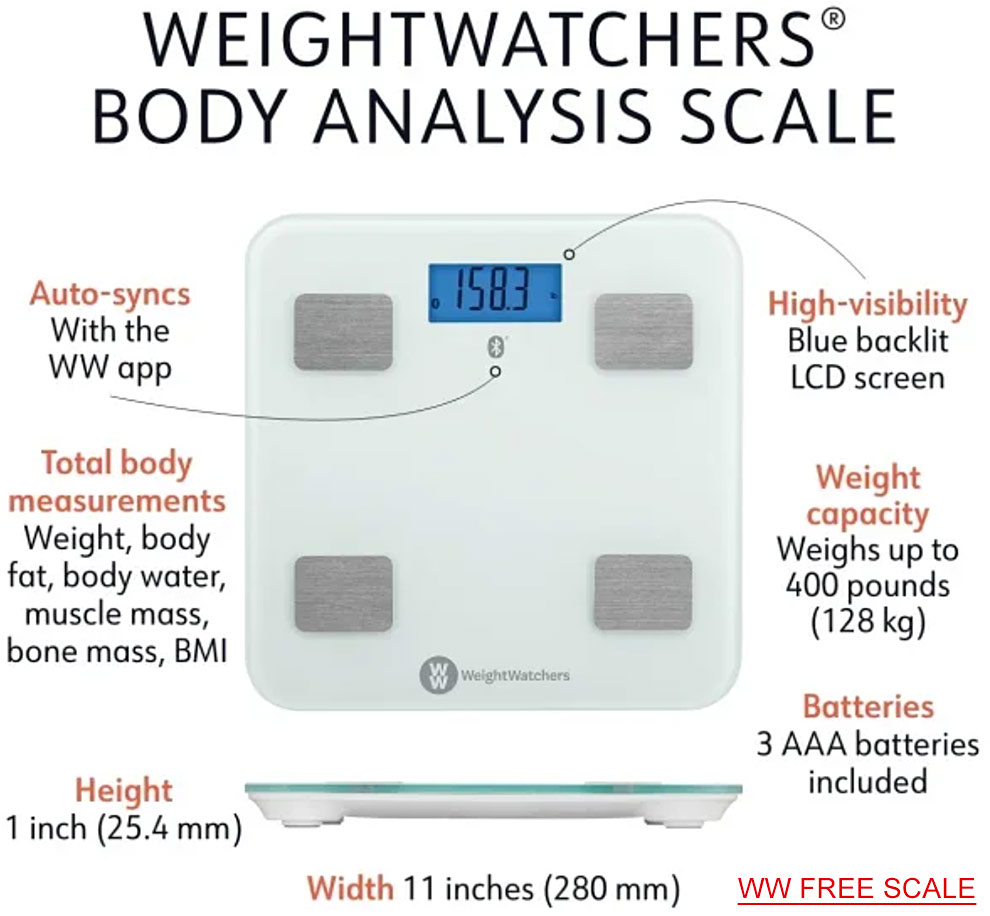 weightwatchers free scale features