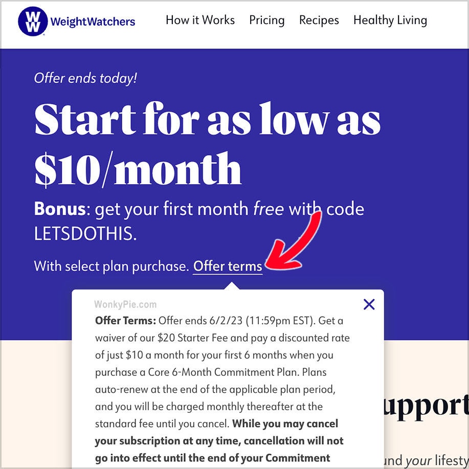 Weight Watchers Promo Code February 2025 Adey Loleta